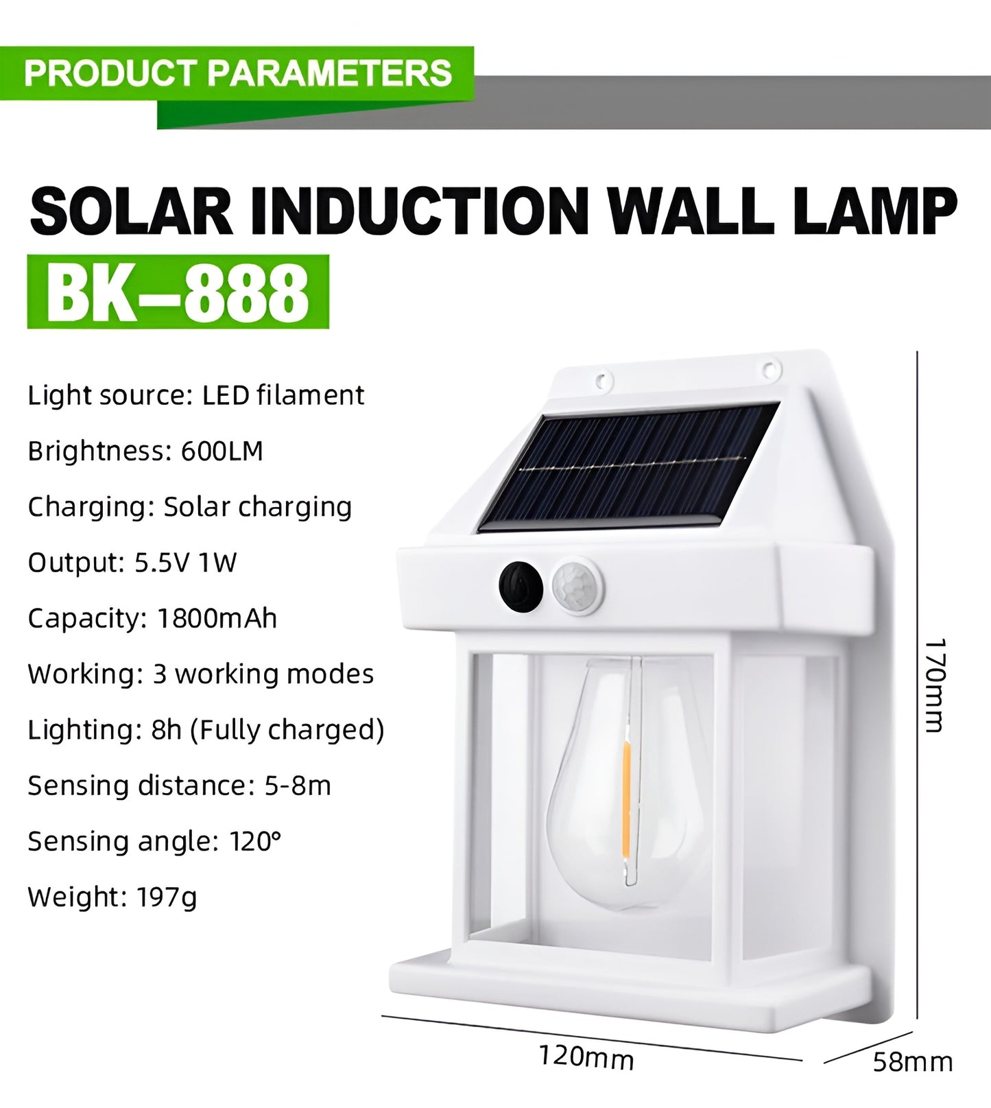Solar Light for Garden by Asraa Store