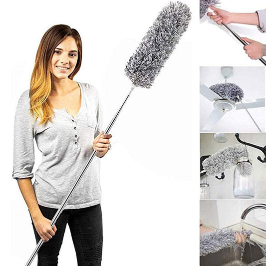 Long Handle Duster
