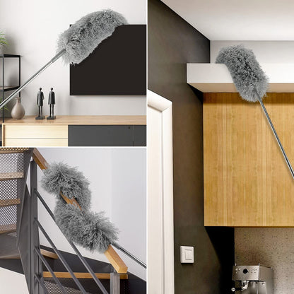 Long Handle Duster